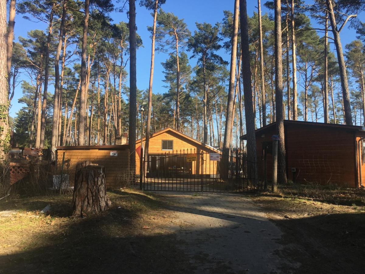 Holiday home Debowy 1